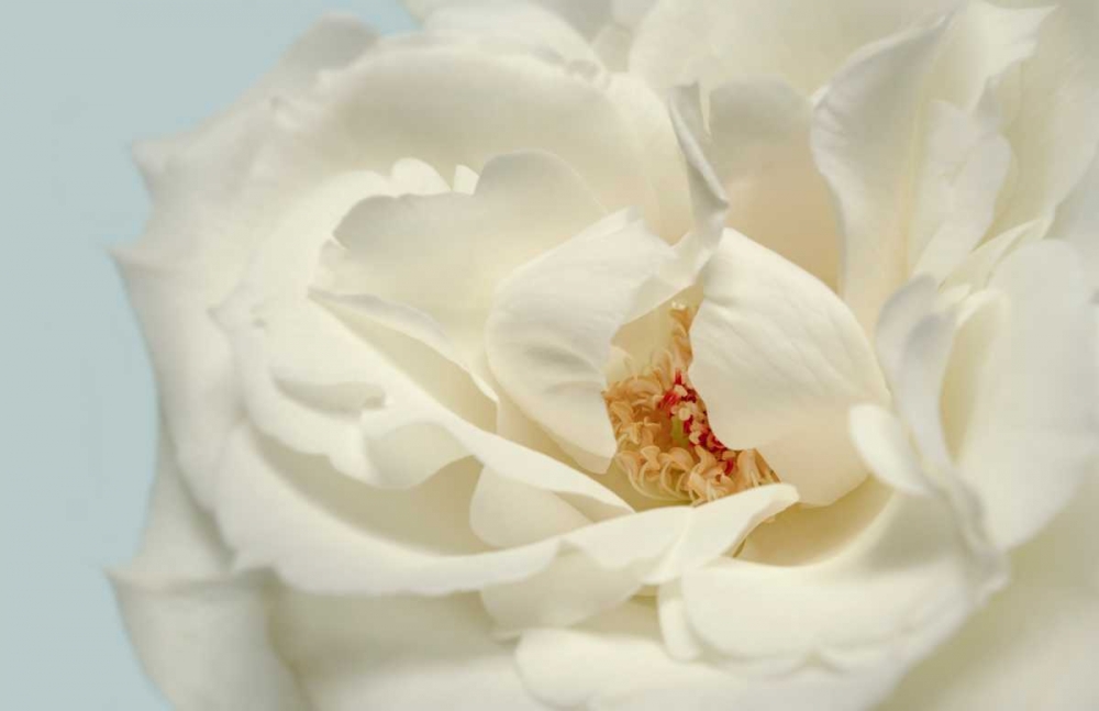 Wall Art Painting id:105585, Name: Now Calm, Artist: Greenwood, Julie