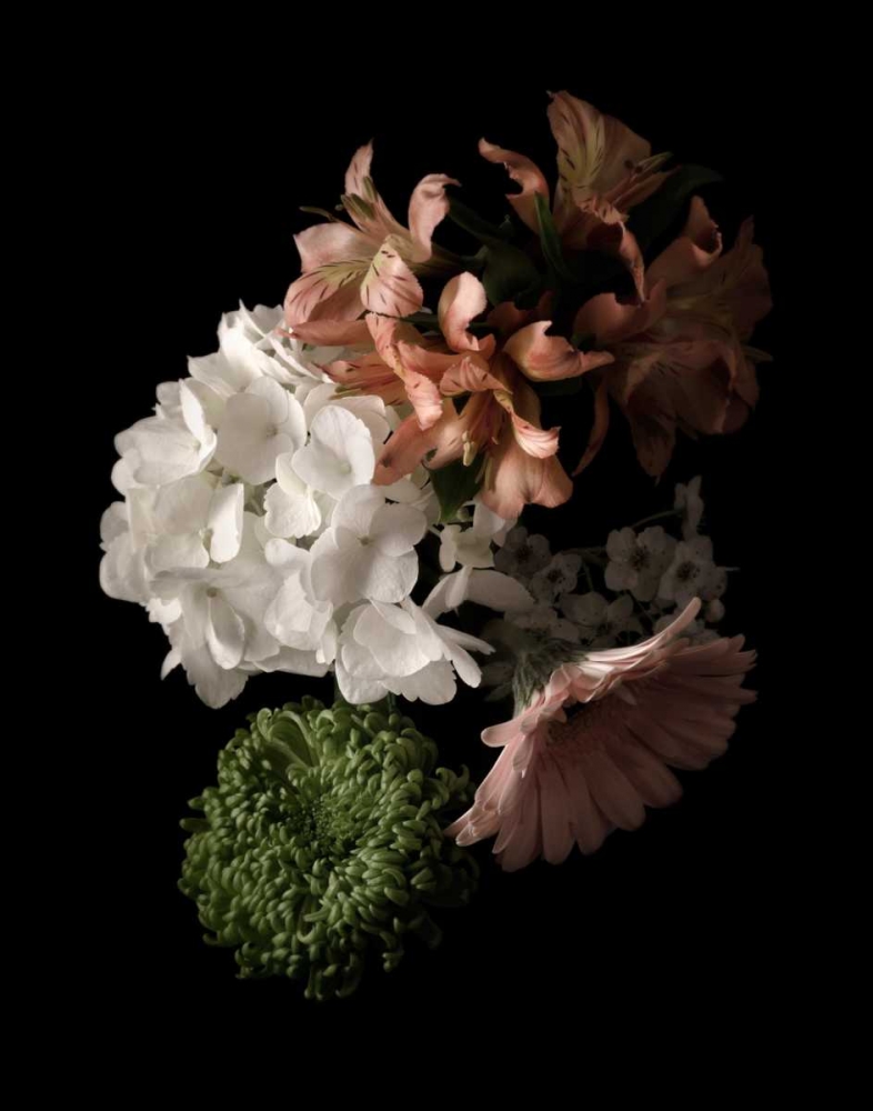 Wall Art Painting id:166419, Name: Midnight Hydrangea, Artist: Greenwood, Julie