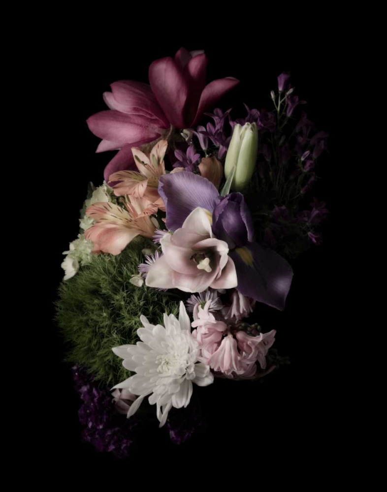 Wall Art Painting id:166412, Name: Midnight Magnolia, Artist: Greenwood, Julie