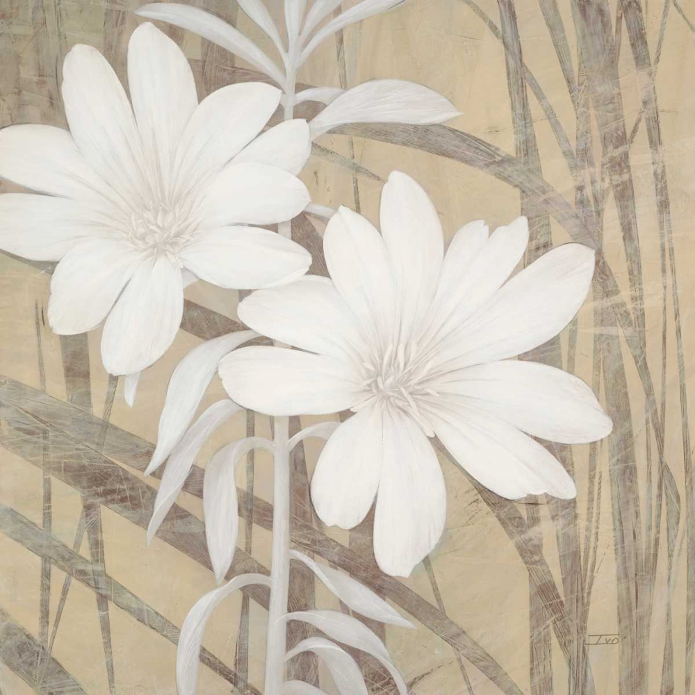 Wall Art Painting id:105833, Name: Modern White Blossoms, Artist: Stoyanov, Ivo