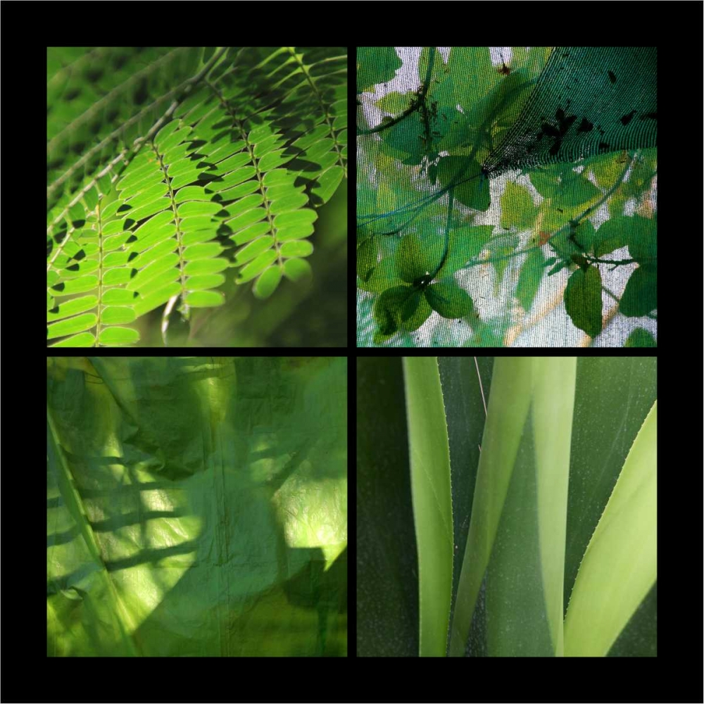 Wall Art Painting id:62963, Name: Fresh Green, Artist: Rauscher, Michel