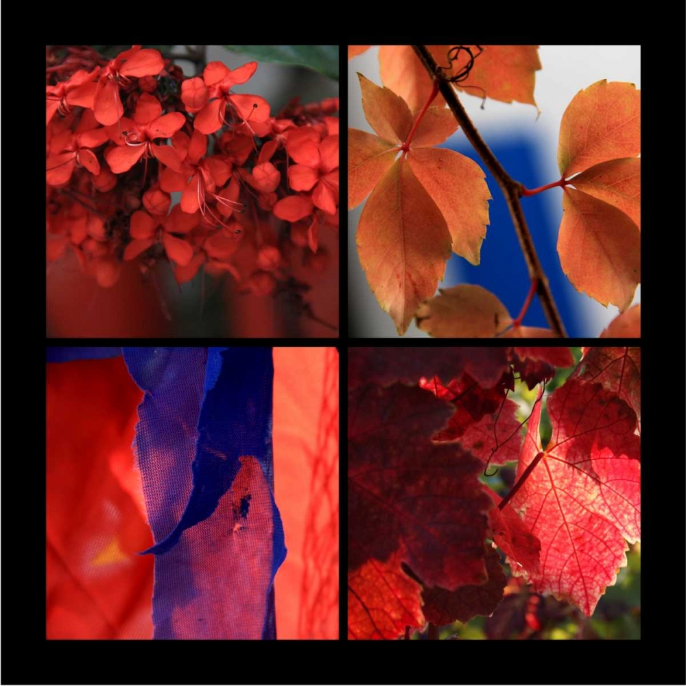 Wall Art Painting id:62964, Name: Red Autumn, Artist: Rauscher, Michel