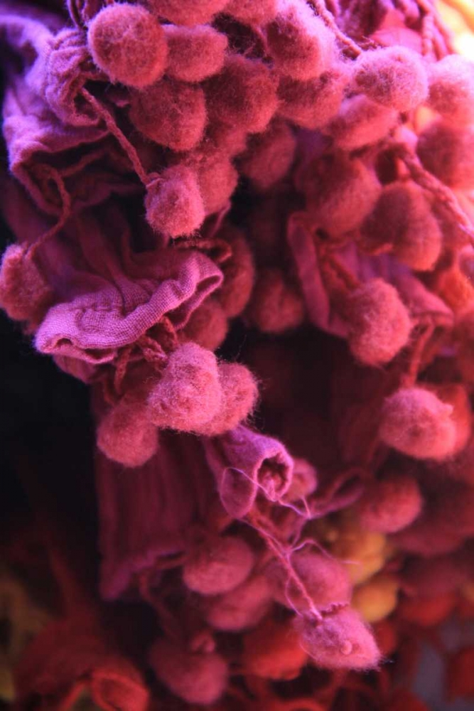 Wall Art Painting id:62974, Name: Global Pinks 1, Artist: Rauscher, Michel