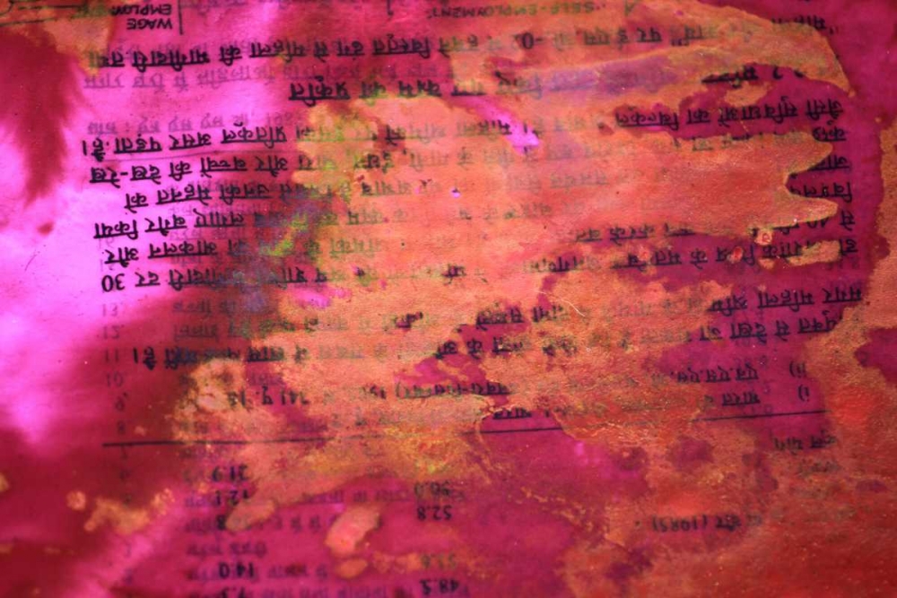 Wall Art Painting id:62977, Name: Global Pinks 4, Artist: Rauscher, Michel