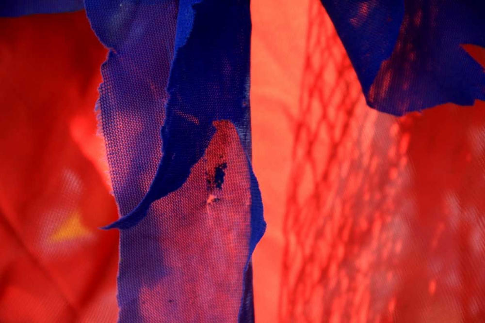 Wall Art Painting id:62988, Name: Red Autumn 3, Artist: Rauscher, Michel