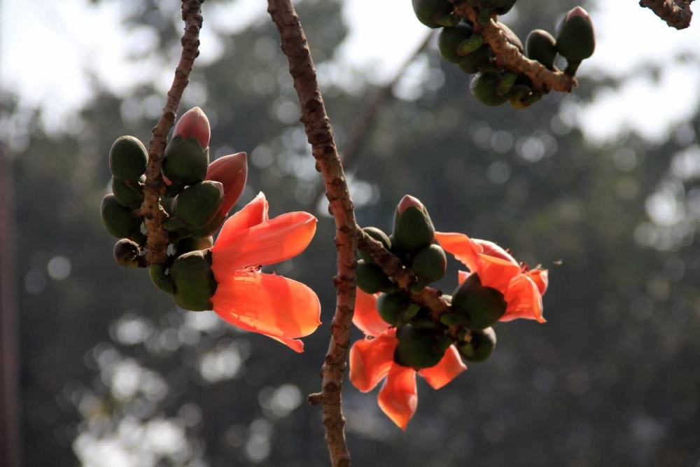 Wall Art Painting id:62990, Name: Global Vessel 1, Artist: Rauscher, Michel