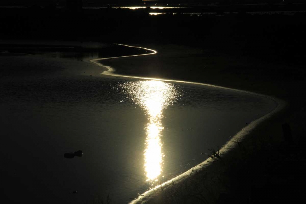 Wall Art Painting id:63009, Name: Moonlight Enchantment 2, Artist: Rauscher, Michel