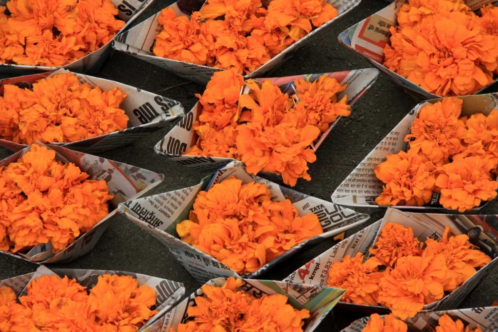 Wall Art Painting id:63011, Name: Global Orange 1, Artist: Rauscher, Michel