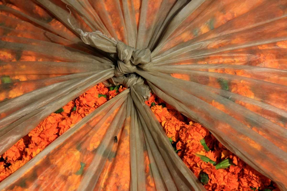 Wall Art Painting id:63013, Name: Global Orange 3, Artist: Rauscher, Michel