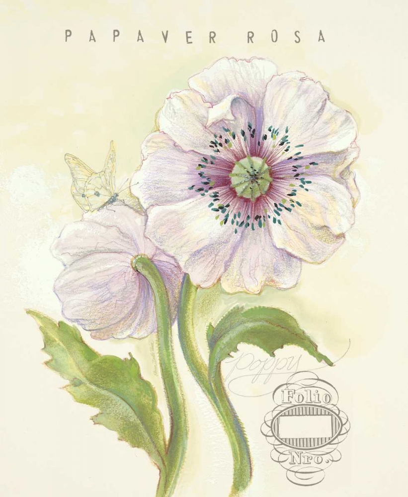 Wall Art Painting id:87295, Name: Claires Garden Poppy, Artist: Della-Piana, Elissa