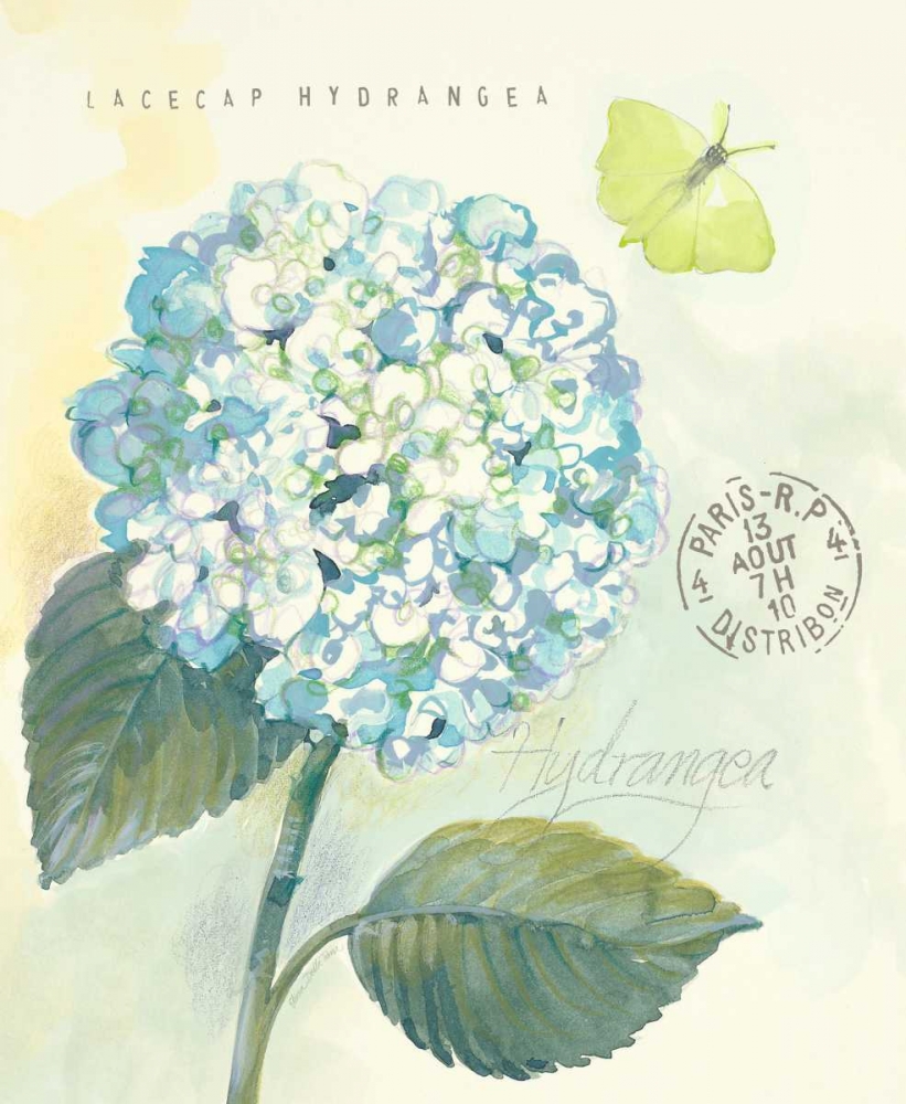 Wall Art Painting id:87296, Name: Claires Garden Hydrangea, Artist: Della-Piana, Elissa