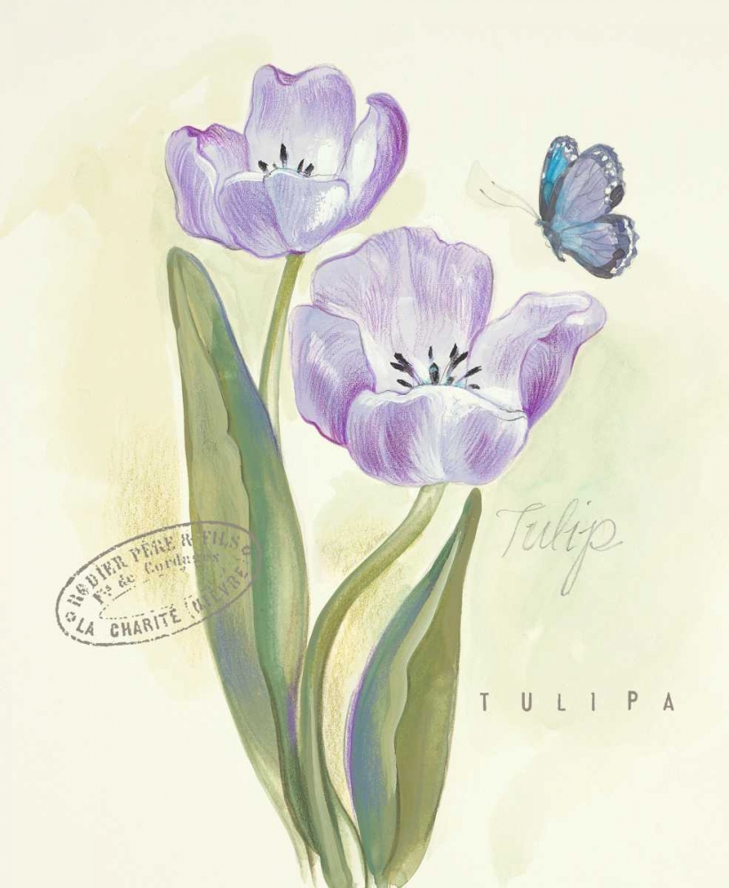 Wall Art Painting id:87297, Name: Claires Garden Tulip , Artist: Della-Piana, Elissa
