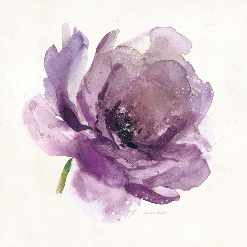 Wall Art Painting id:99614, Name: Watery Plum Bloom 1, Artist: Smith, Sandra