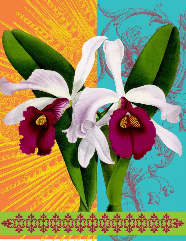 Wall Art Painting id:59586, Name: Star Burst Orchid, Artist: Robertson, Walter 