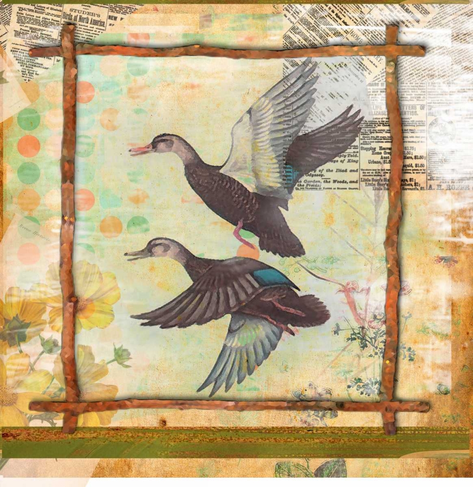 Art Print: Duck Nature