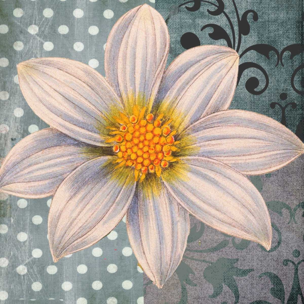 Wall Art Painting id:59641, Name: Polka Dot Dahlia 1, Artist: Robertson, Walter 