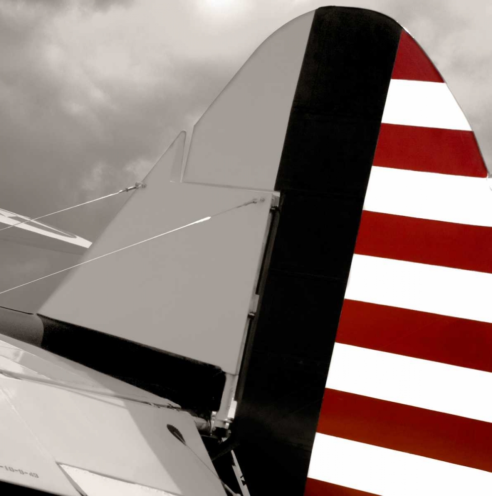 Wall Art Painting id:60105, Name: Flight Ready, Artist: McCarthy, Matt