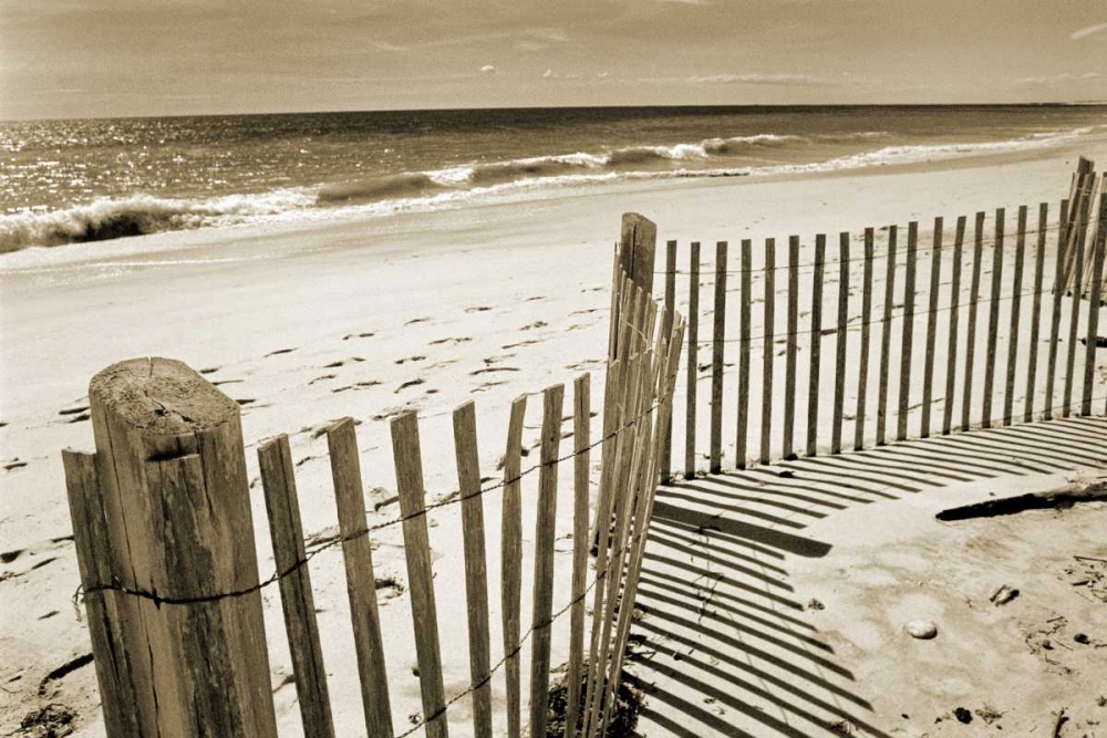 Wall Art Painting id:64778, Name: Beach Walk 1, Artist: Amber Light Gallery