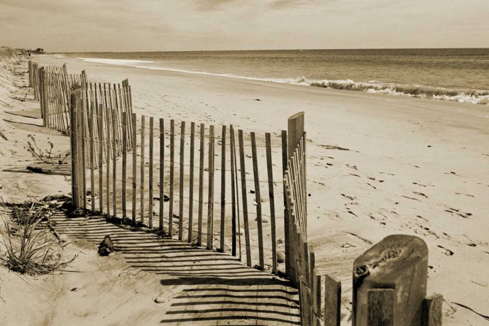 Wall Art Painting id:64779, Name: Beach Walk 2, Artist: Amber Light Gallery