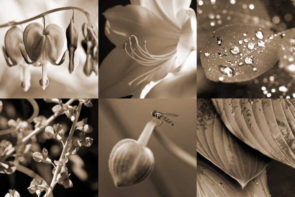 Similar wall art painting: 64781