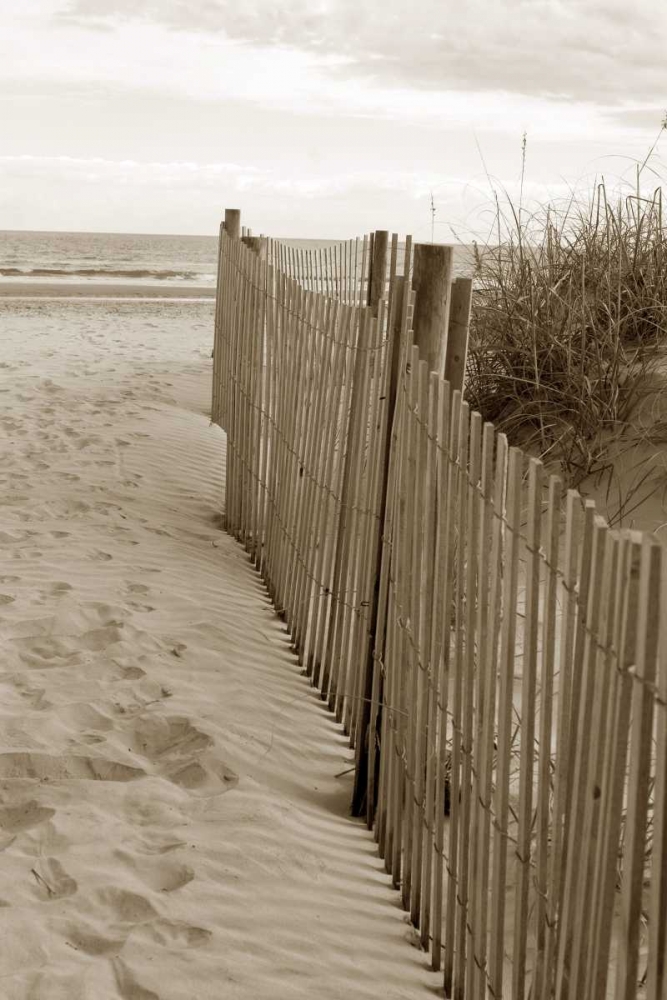 Wall Art Painting id:64796, Name: Beach Trail 2, Artist: Amber Light Gallery