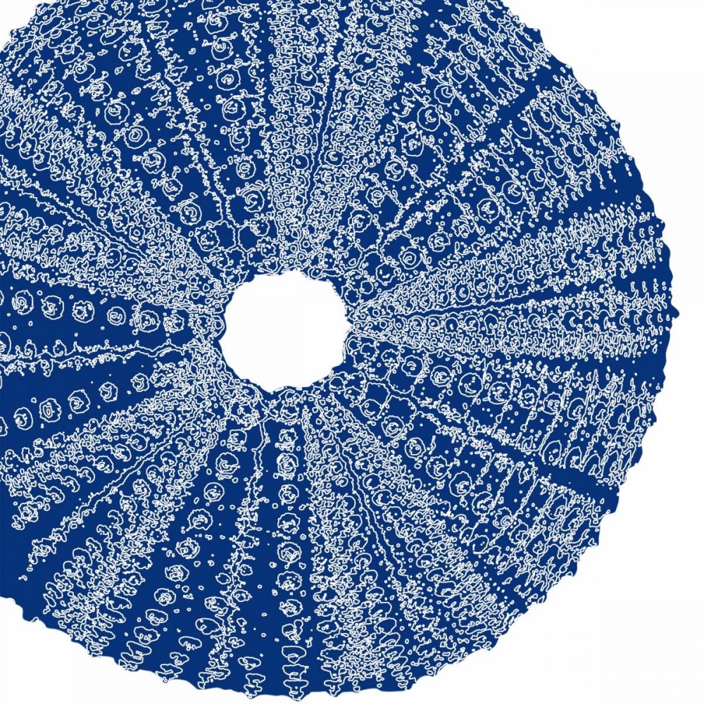 Wall Art Painting id:64801, Name: Sepia Shell Life 2, Artist: Amber Light Gallery