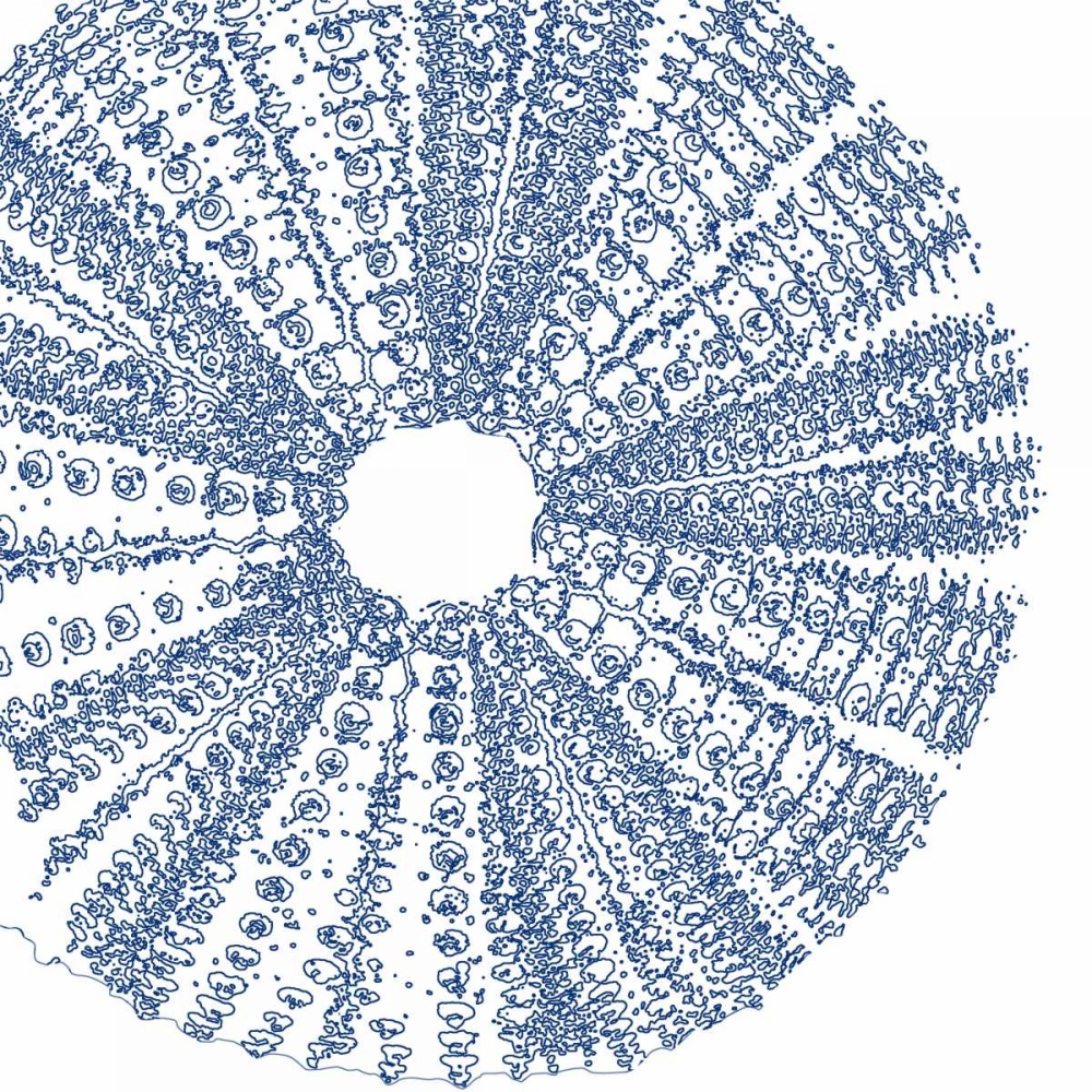 Wall Art Painting id:64802, Name: Sepia Shell Life 2, Artist: Amber Light Gallery