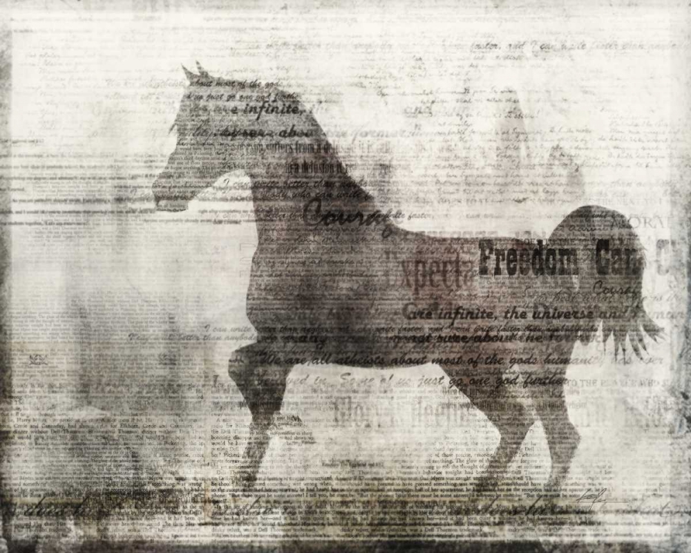 Wall Art Painting id:56504, Name: Freedom, Artist: Roko, Ken