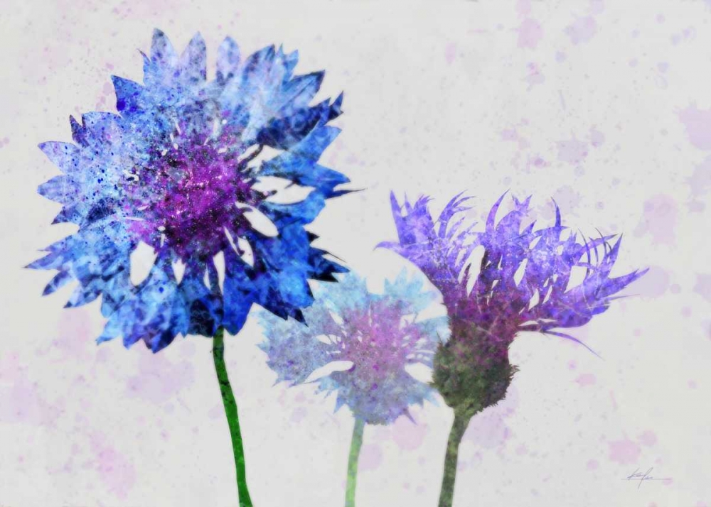 Art Print: Colorful Cornflowers 1