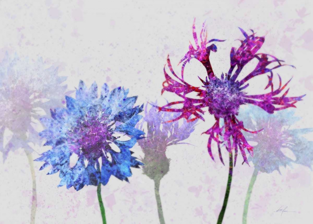 Art Print: Colorful Cornflowers 2