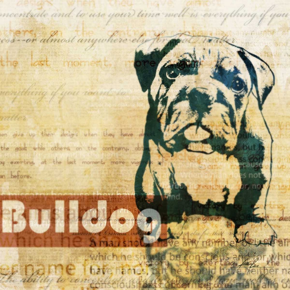Wall Art Painting id:56528, Name: Bulldog Sketch, Artist: Roko, Ken
