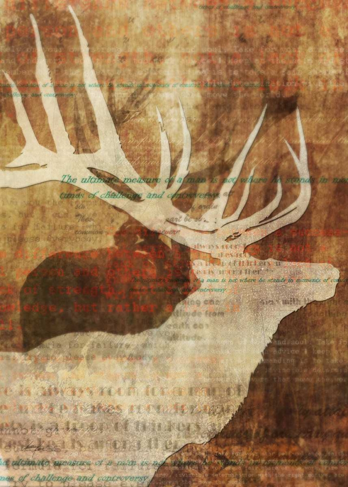 Wall Art Painting id:56537, Name: Stag Story 1, Artist: Roko, Ken