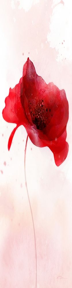 Wall Art Painting id:254788, Name: Rain Shower Poppy 1, Artist: Roko, Ken
