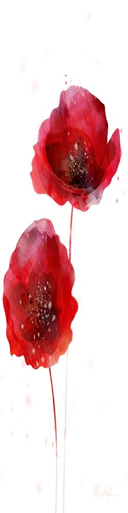 Wall Art Painting id:254789, Name: Rain Shower Poppy 2, Artist: Roko, Ken