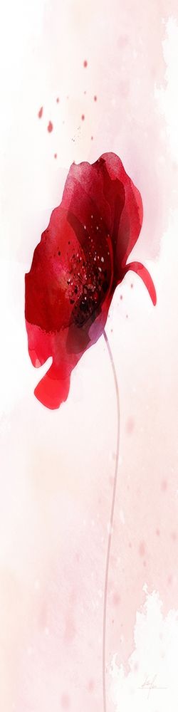 Wall Art Painting id:254790, Name: Rain Shower Poppy 3, Artist: Roko, Ken