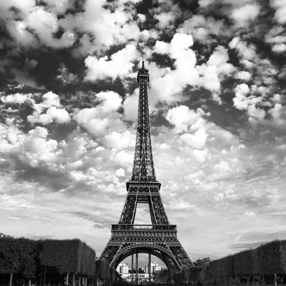 Wall Art Painting id:59199, Name: Viewing The Eiffel, Artist: Innes, David