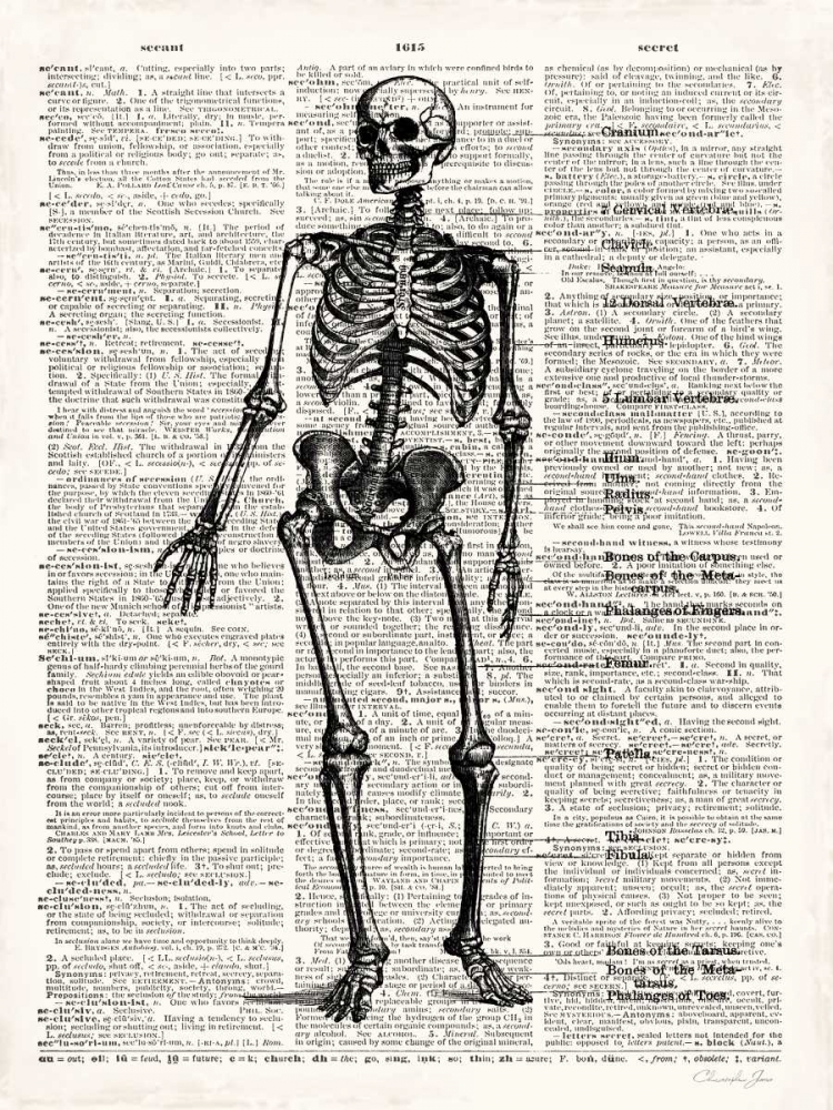 Wall Art Painting id:107139, Name: Vintage Anatomy Skeleton , Artist: James, Christopher