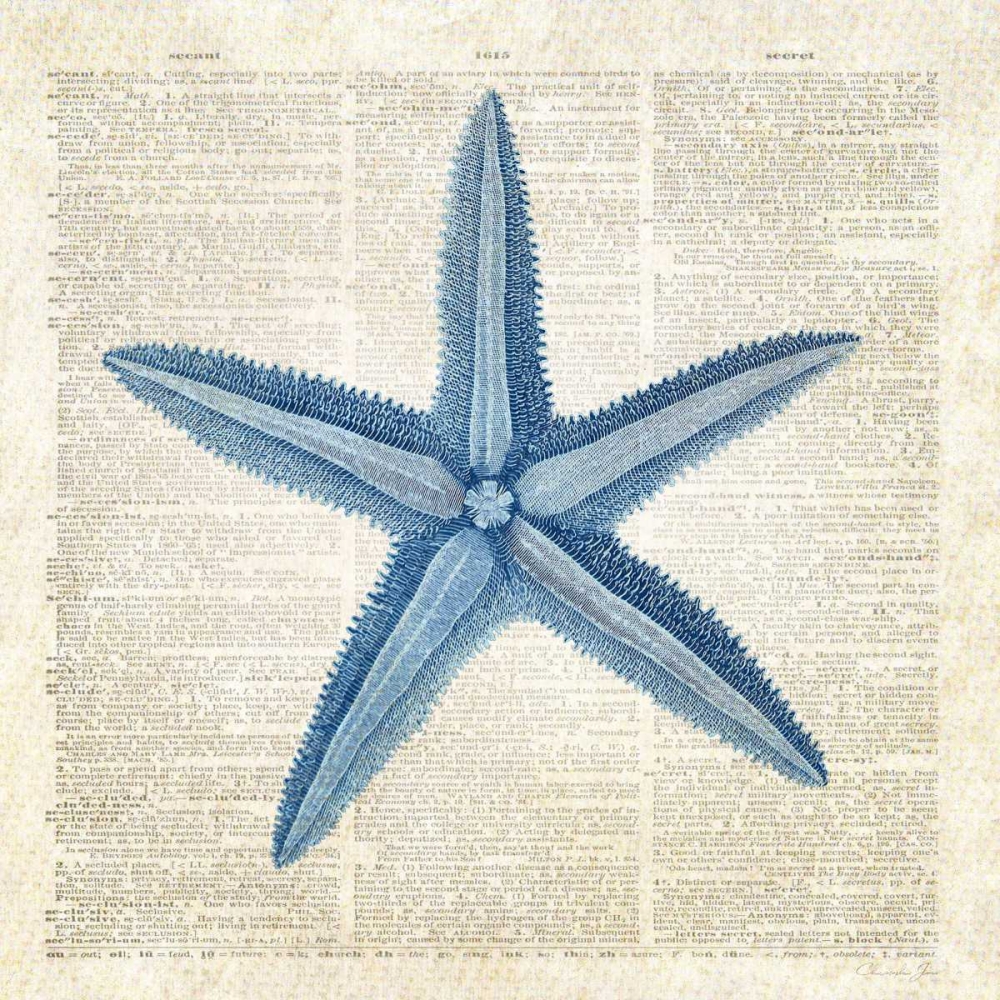Wall Art Painting id:166537, Name: Starfish Pages, Artist: James, Christopher