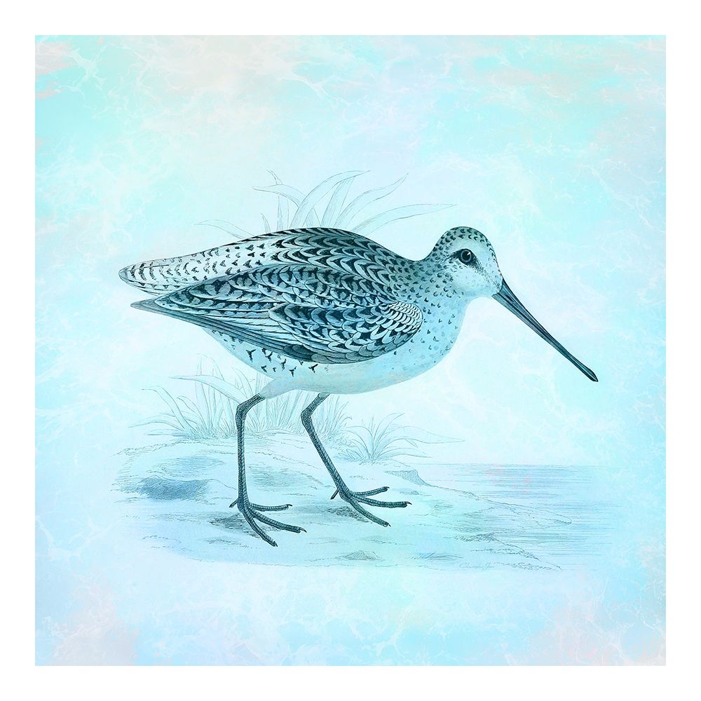 Wall Art Painting id:190650, Name: At The Seashore 1, Artist: James, Christopher