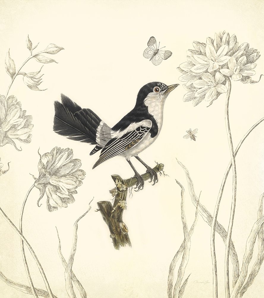 Wall Art Painting id:357055, Name: Botanical Song Bird 1, Artist: James, Christopher