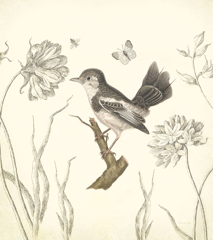 Wall Art Painting id:357054, Name: Botanical Song Bird 2, Artist: James, Christopher