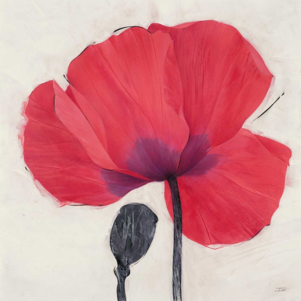 Wall Art Painting id:84969, Name: Joyous Poppy, Artist: Stoyanov, Ivo