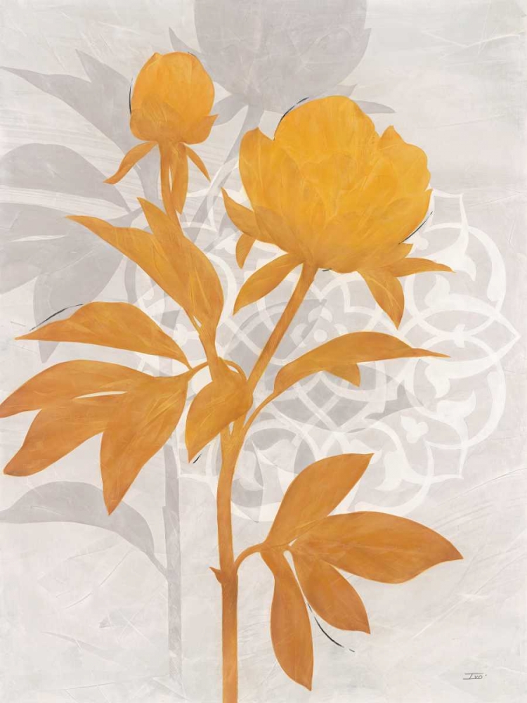 Wall Art Painting id:166649, Name: Amber Peony 1, Artist: Stoyanov, Ivo