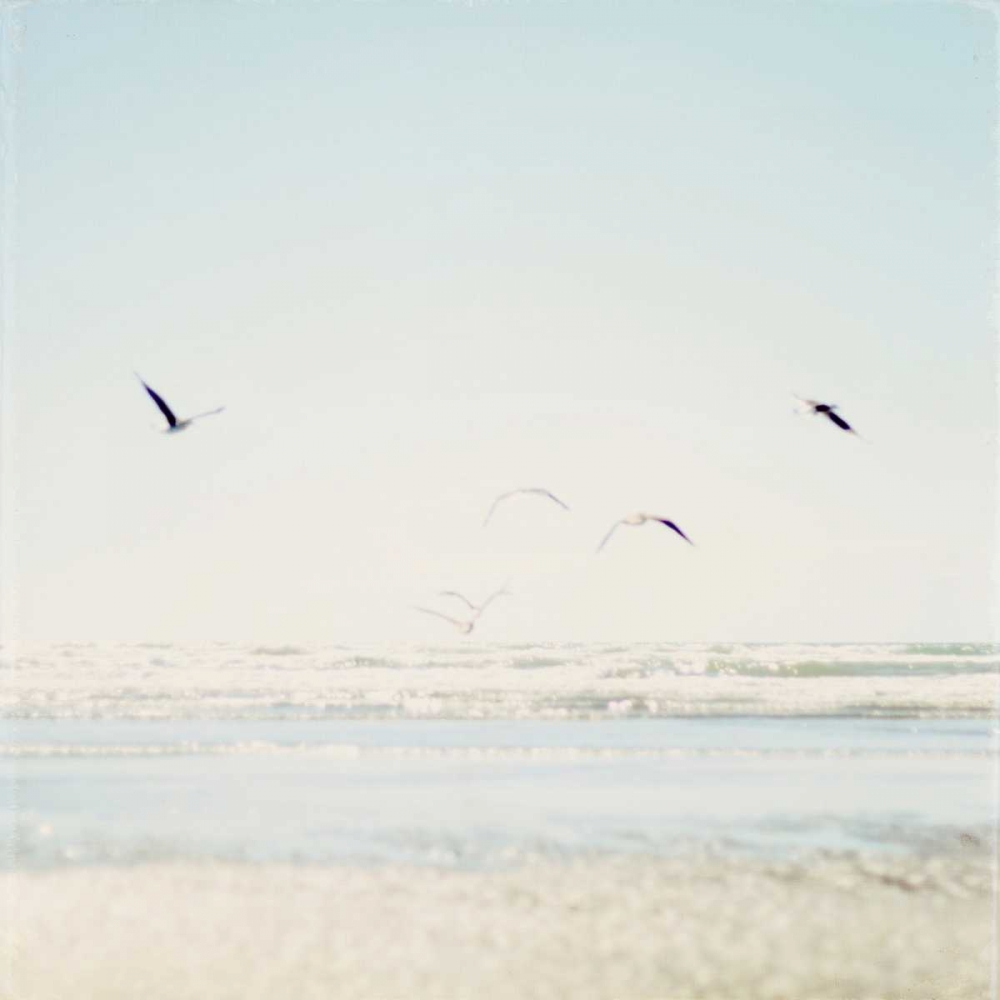 Art Print: Faded Flight