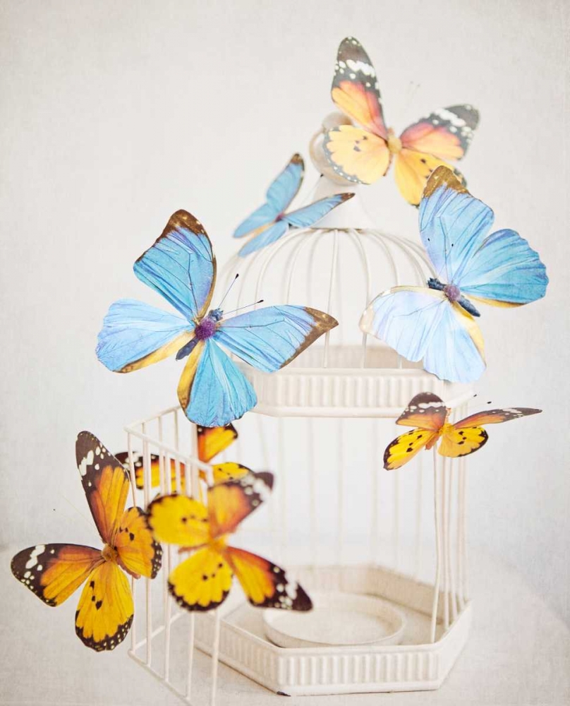 Art Print: Happy Daydream 2