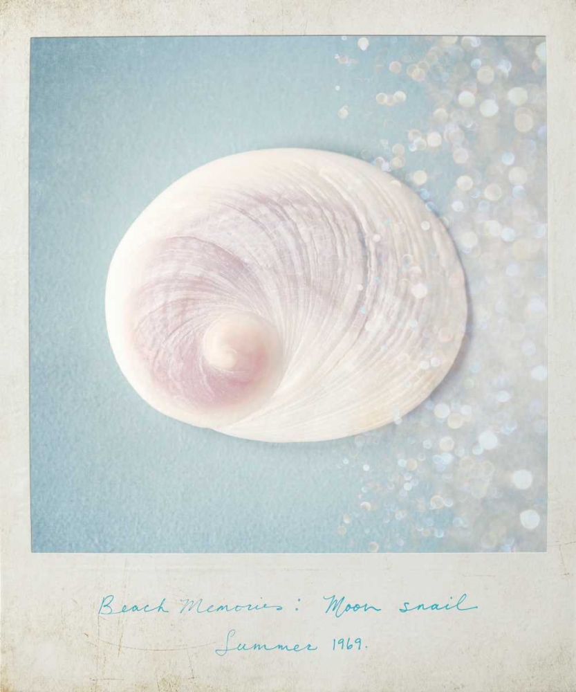 Art Print: Beach Memories Moon Snail