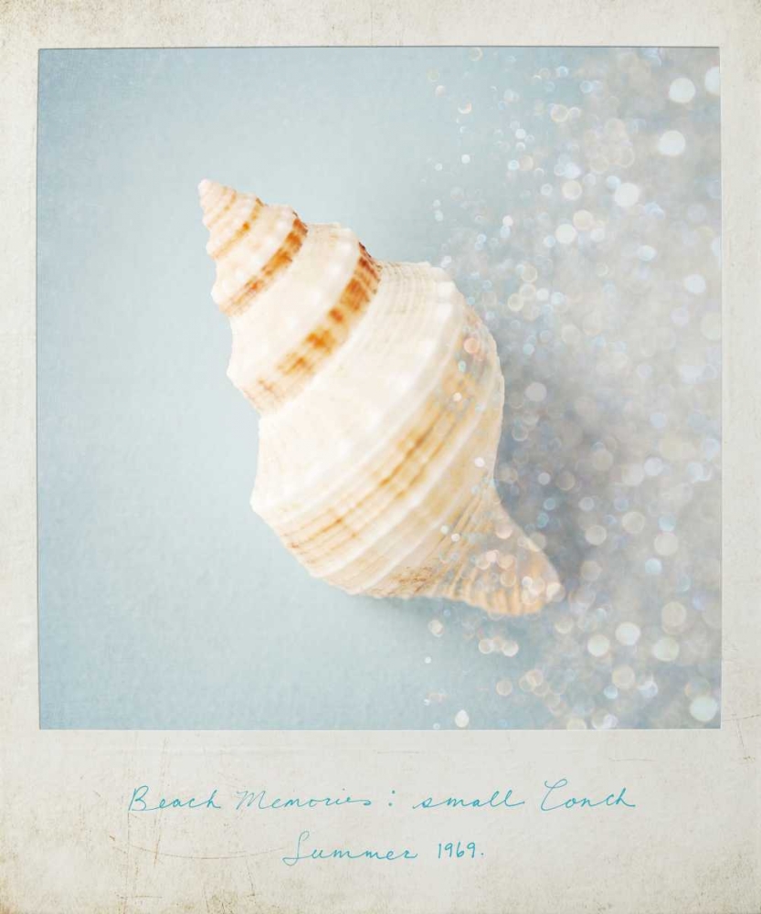 Art Print: Beach Memories Small Conch