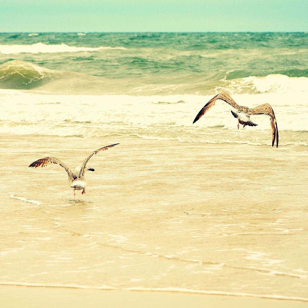 Wall Art Painting id:190682, Name: Splash and Fly, Artist: Dickinson, Robin