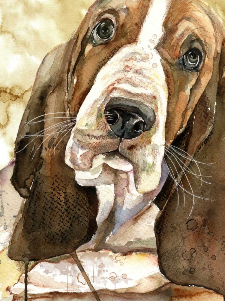 Wall Art Painting id:105816, Name: Sweet Basset Hound, Artist: Jing, Jin