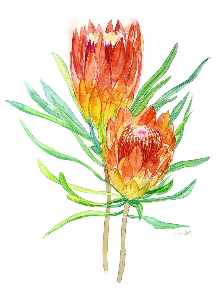 Wall Art Painting id:190815, Name: Tropical Blossoming, Artist: Jing, Jin